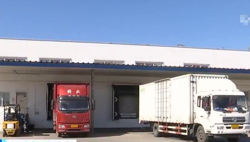 記者探訪北京雞蛋倉庫 庫存充裕供應充足 物流臺車保障供應